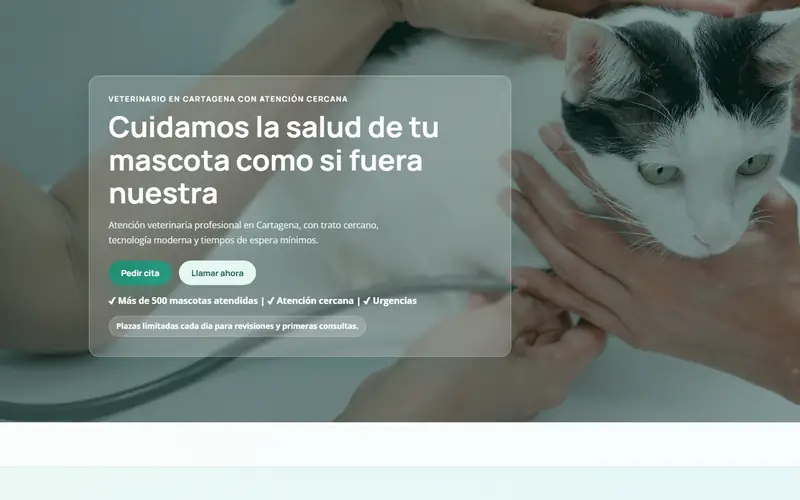 Captura de la web de Clínica Veterinaria Ramón y Cajal, veterinaria · cartagena
